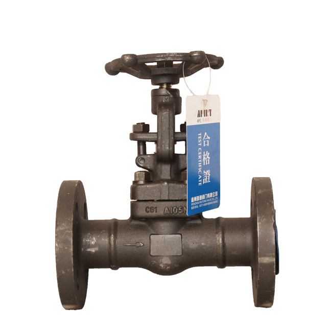 Forged steel globe valve