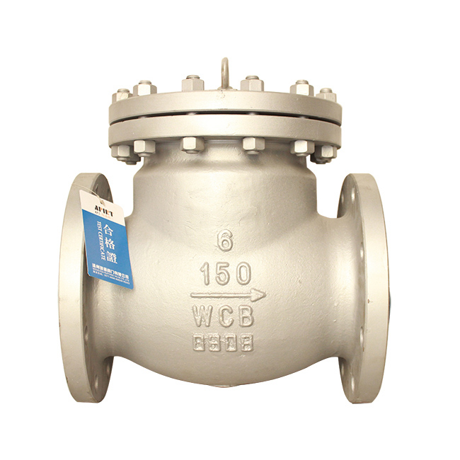 Swing type American standard check valve